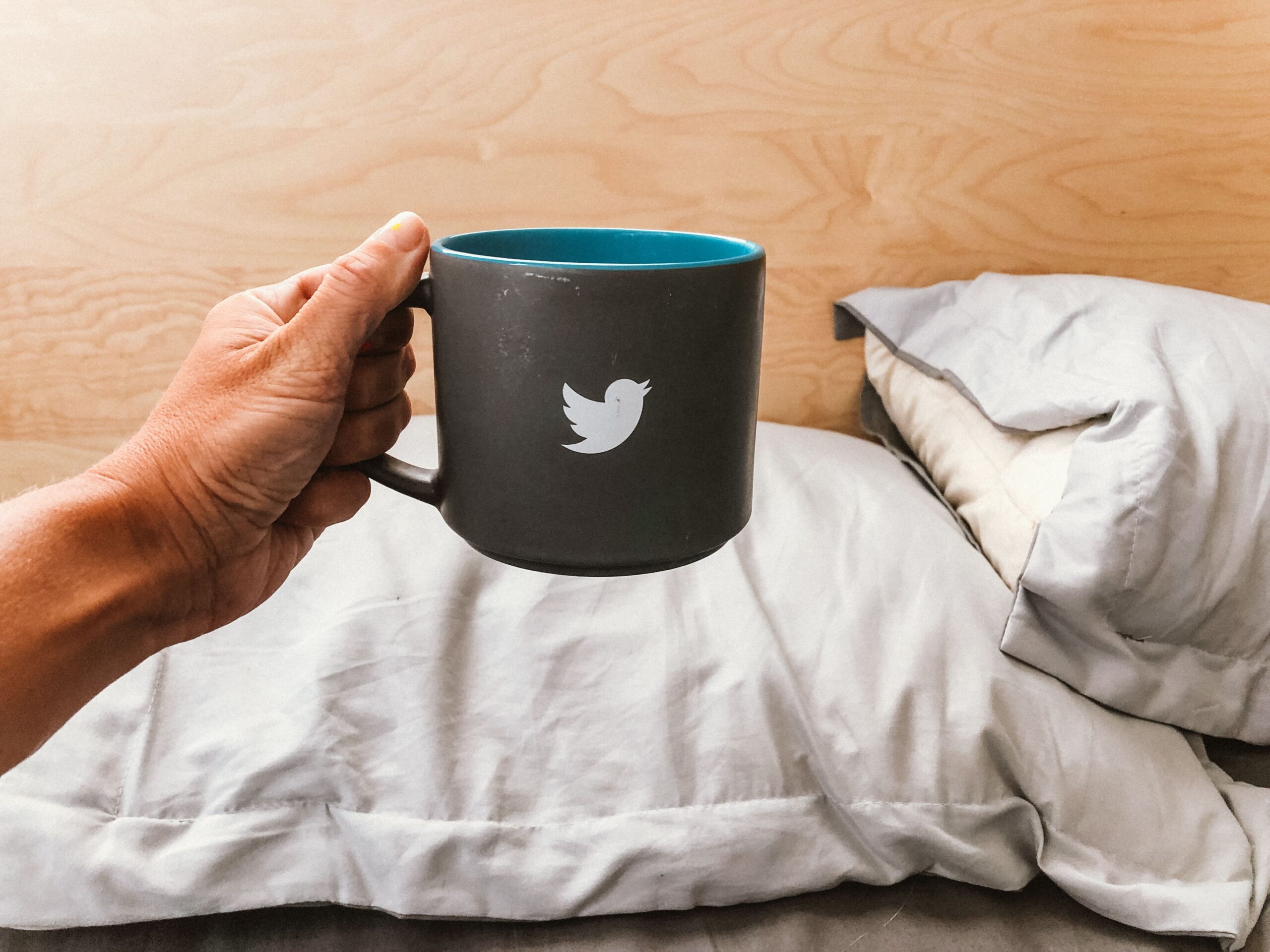 Como Elon Musk pretende revolucionar o twitter e qual impacto para os usuários 1 Como Elon Musk pretende revolucionar o twitter e qual impacto para os usuários